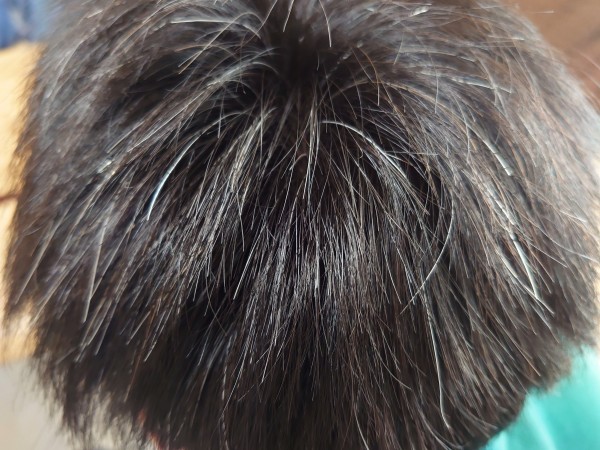 サンカラーマックスを使う前の髪の毛画像